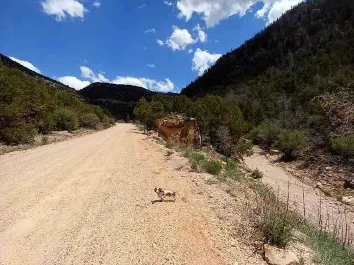 461/Jacob Lake trail photo
