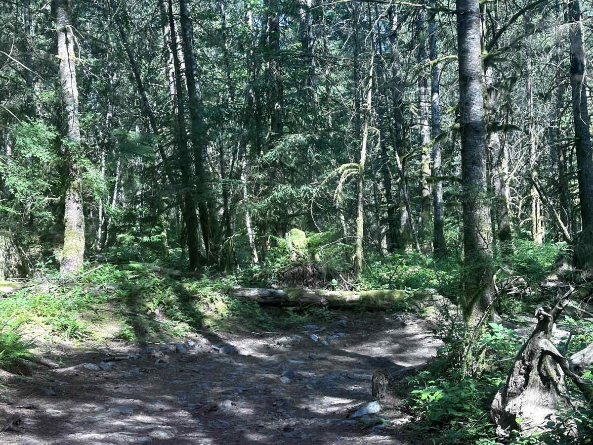 Lovers Lane photo 3