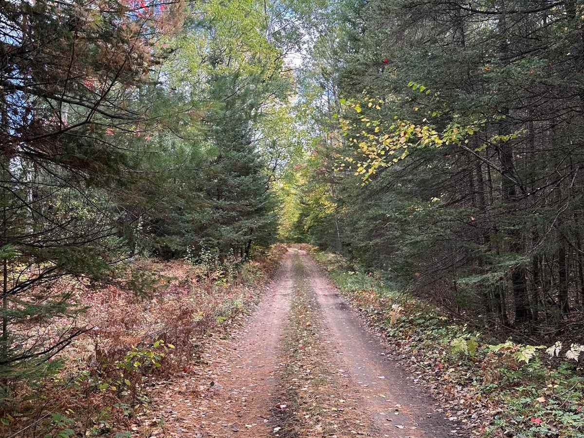 South Mott - FS 2793 photo 2