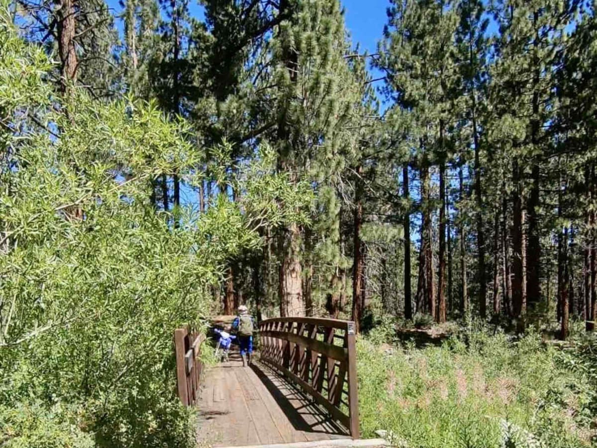 Jackass Creek photo 2