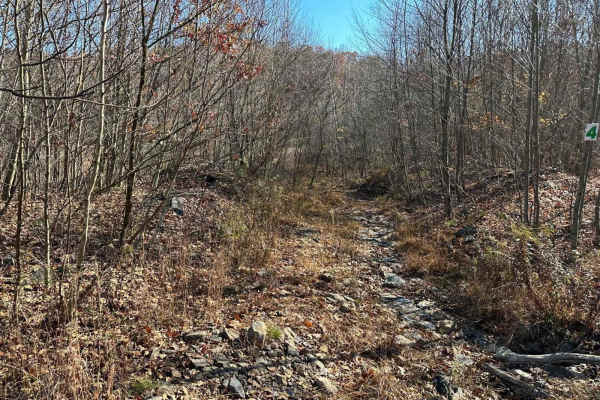Trail 5 - 4 Crossover Trail