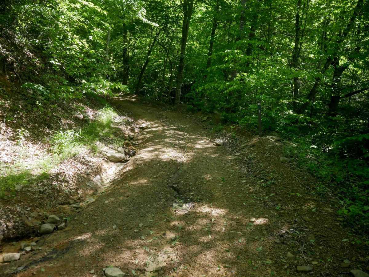 RV7 trail photo