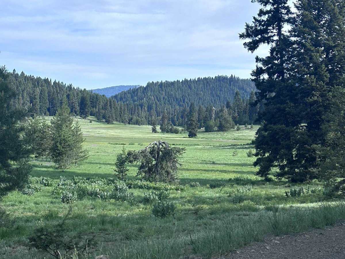 Brundage Mountain trail photo