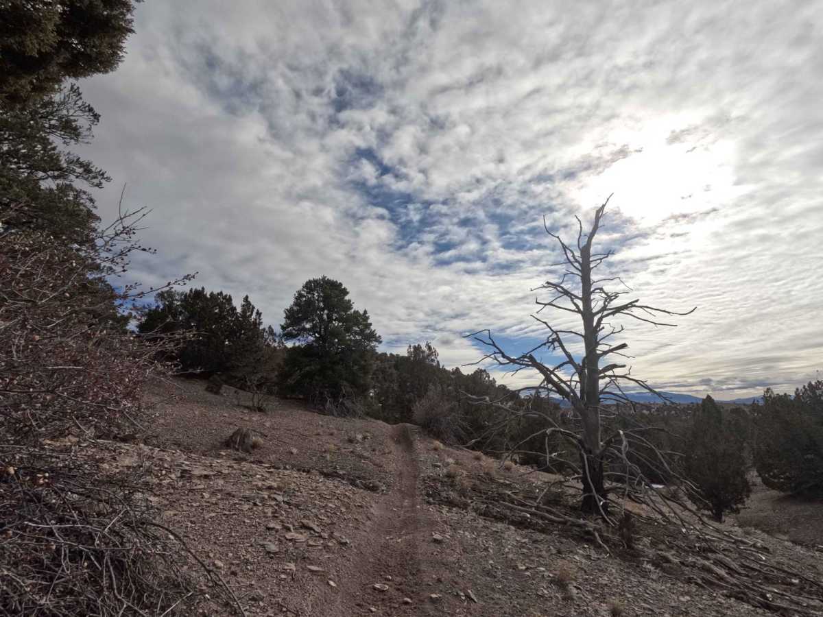 512 trail photo