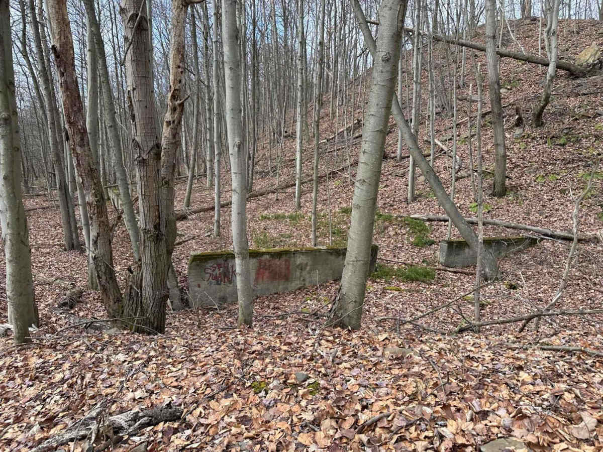 Locust Gap 79 photo 4