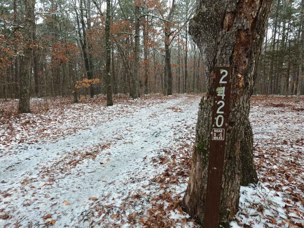 Lost Meridian - FS 2420 trail photo