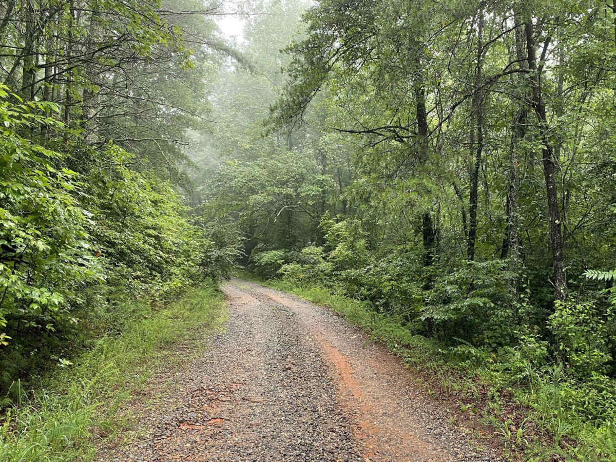 FS 83 (Bull Mountain Rd.) photo 5