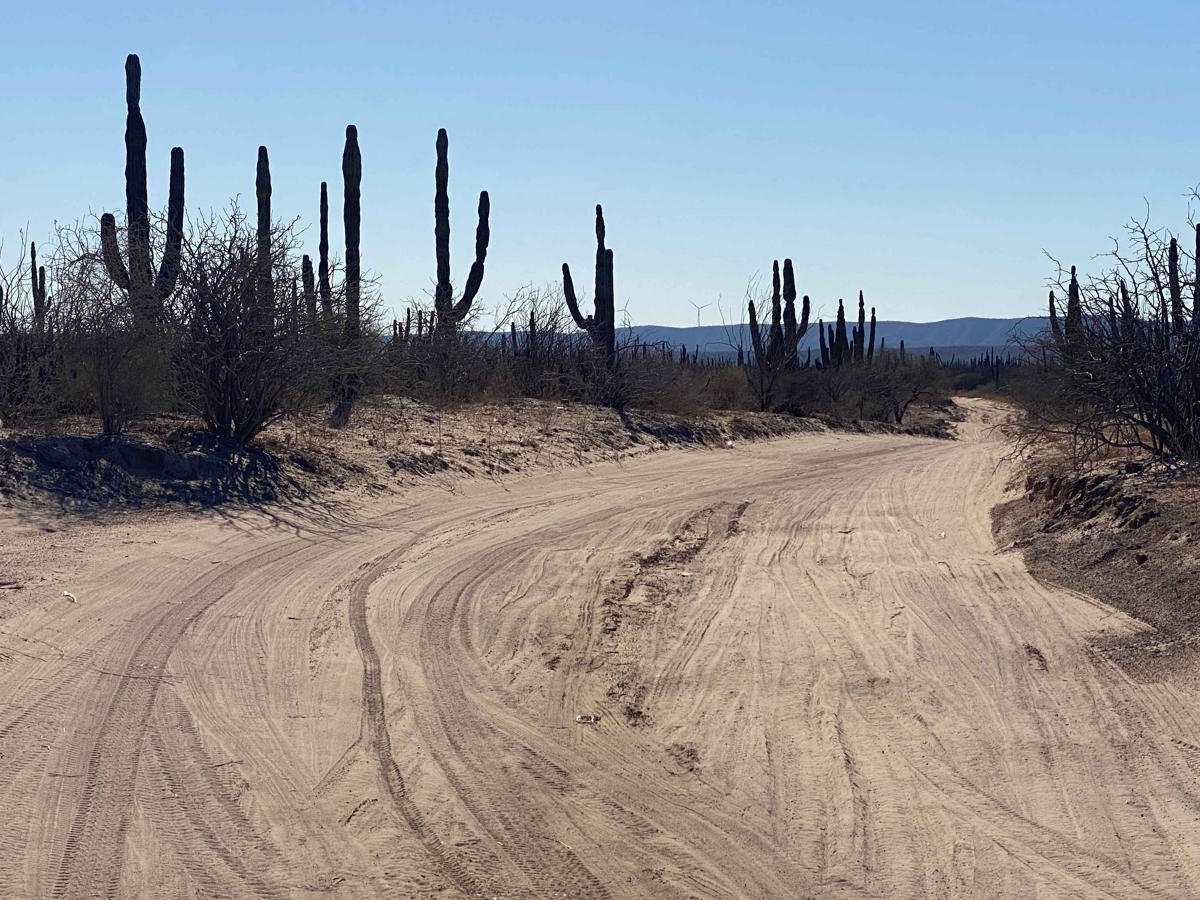 Alfredo Bonfil trail photo