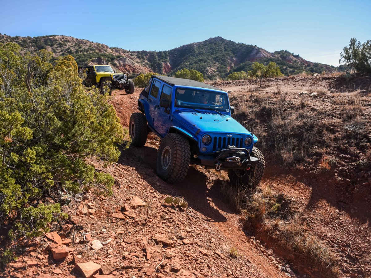 Huckleberry photo 5