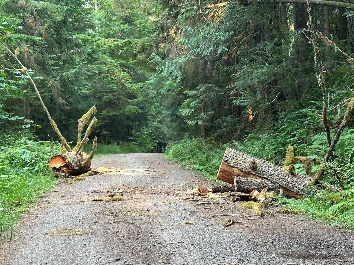 Kilborn Creek trail photo