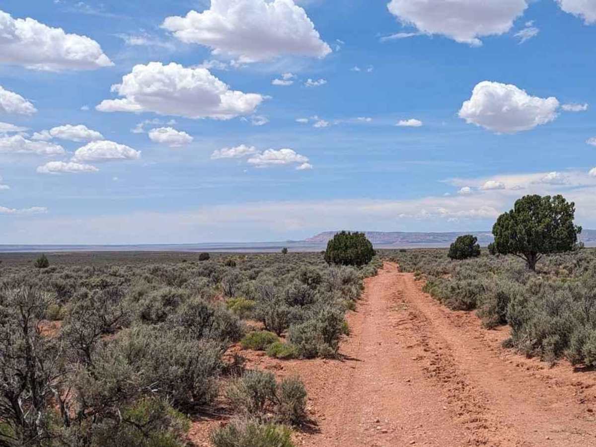 Swapp Tank Trail - BLM176 photo 4