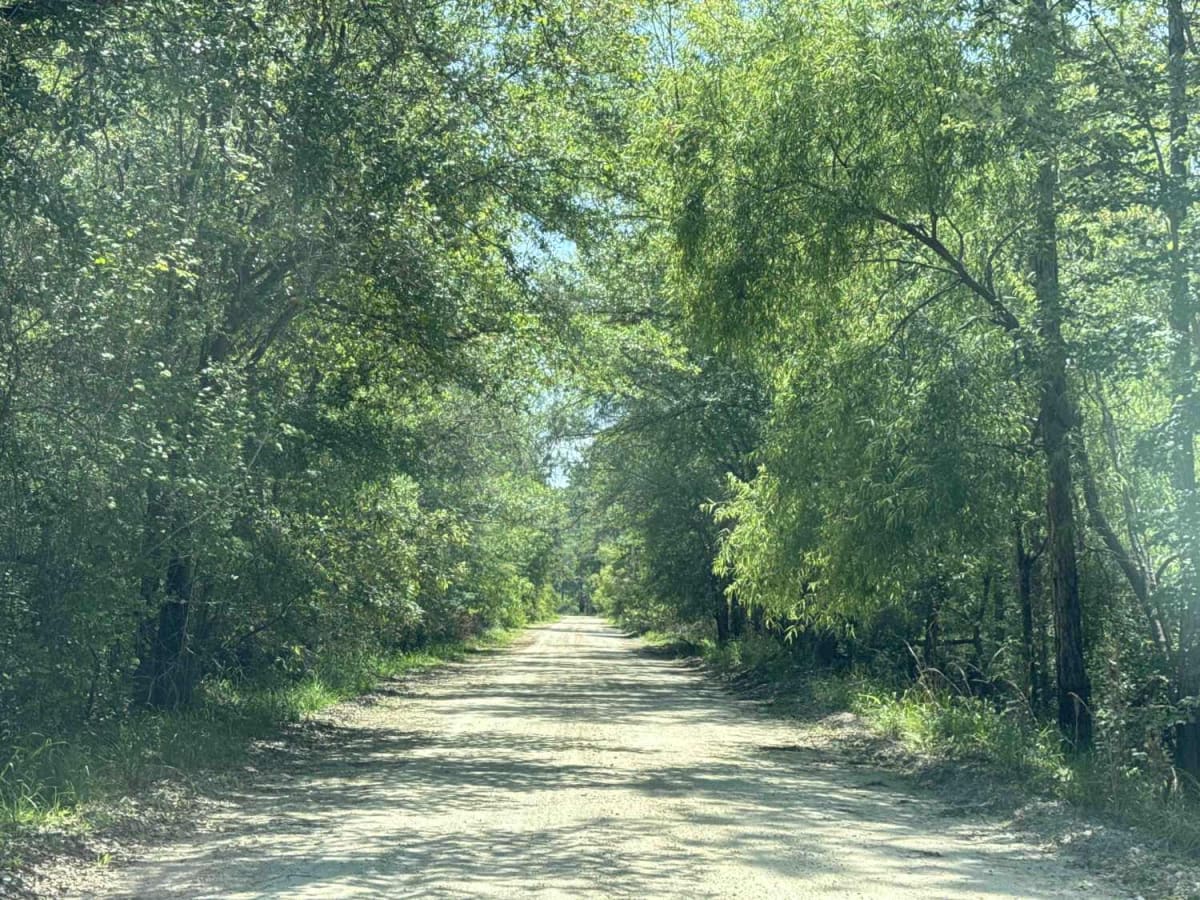 Dry Bridge Road photo 4