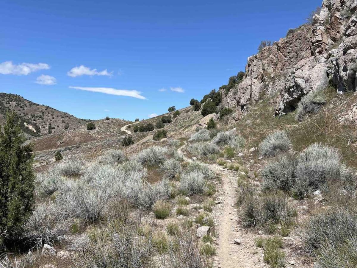 Foothills trail photo