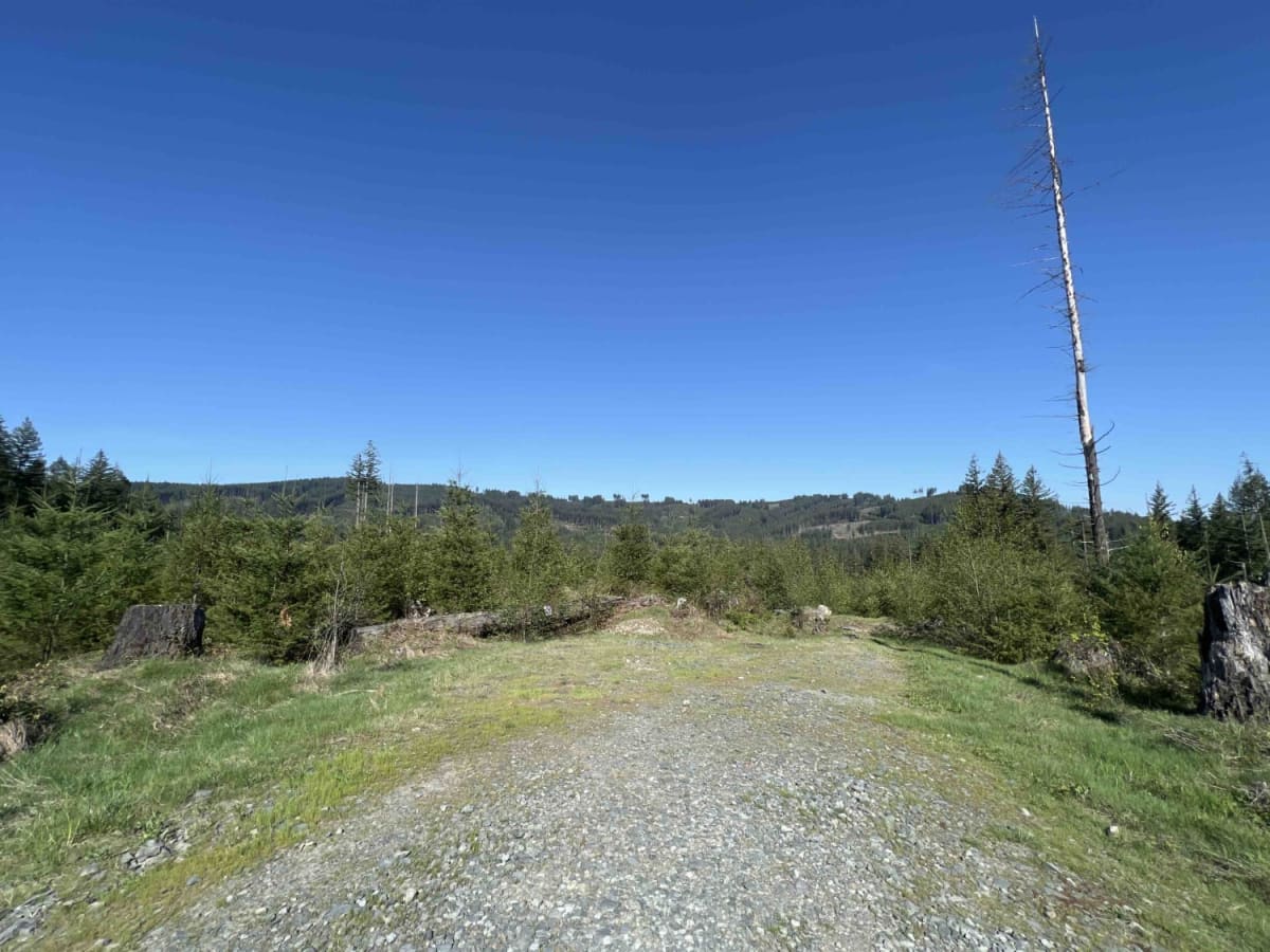 Larch Mountain L-1500 photo 4
