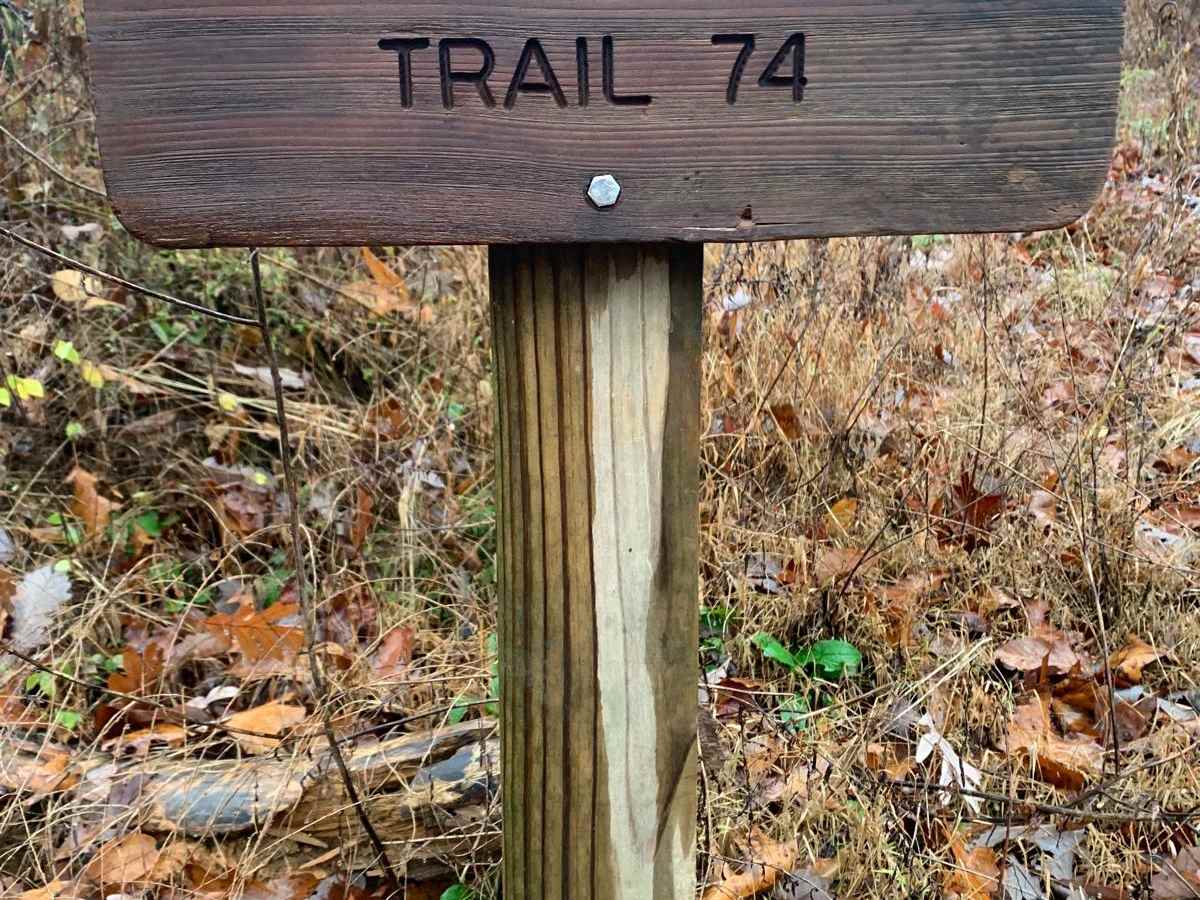 Falls Branch Road - FS 374 photo 4