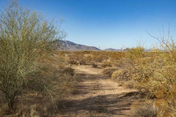 Middle Jackrabbit Wash