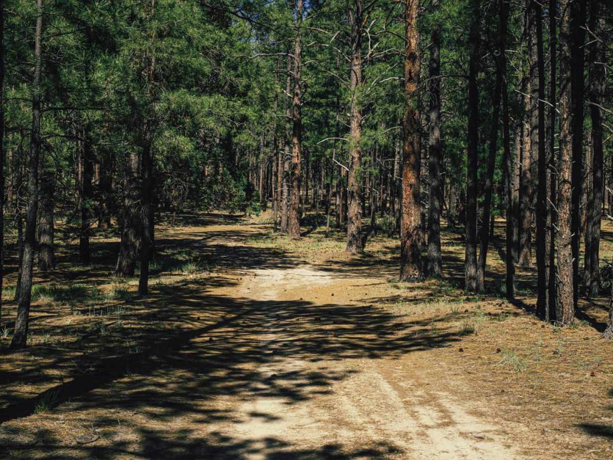 Hunter Hill Camp photo 3