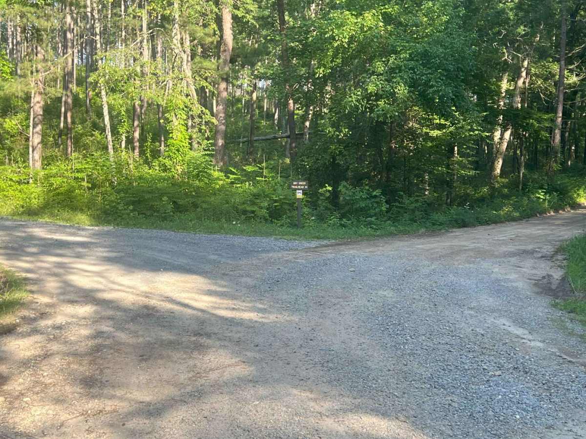 Dry Cr Branch B - Forest Road 226B photo 3