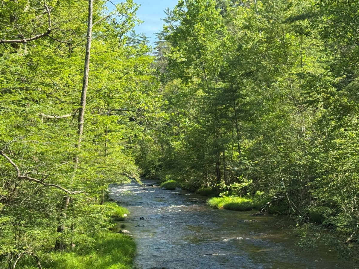 Cutler Road trail photo