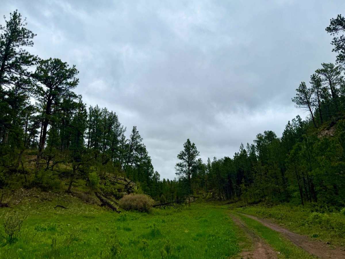 Tepee Branch Road - FS 271.1A photo 4