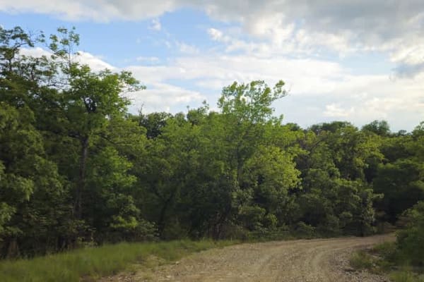 Clapboard Ravine