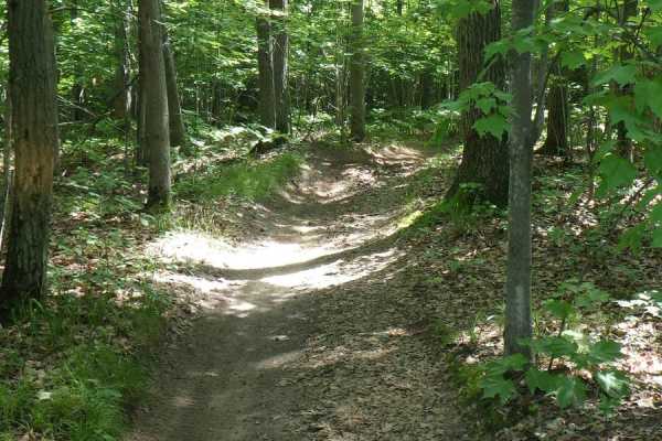 West Higgins Trail - North Cutoff, 14488, 18136, 14483, and 14484