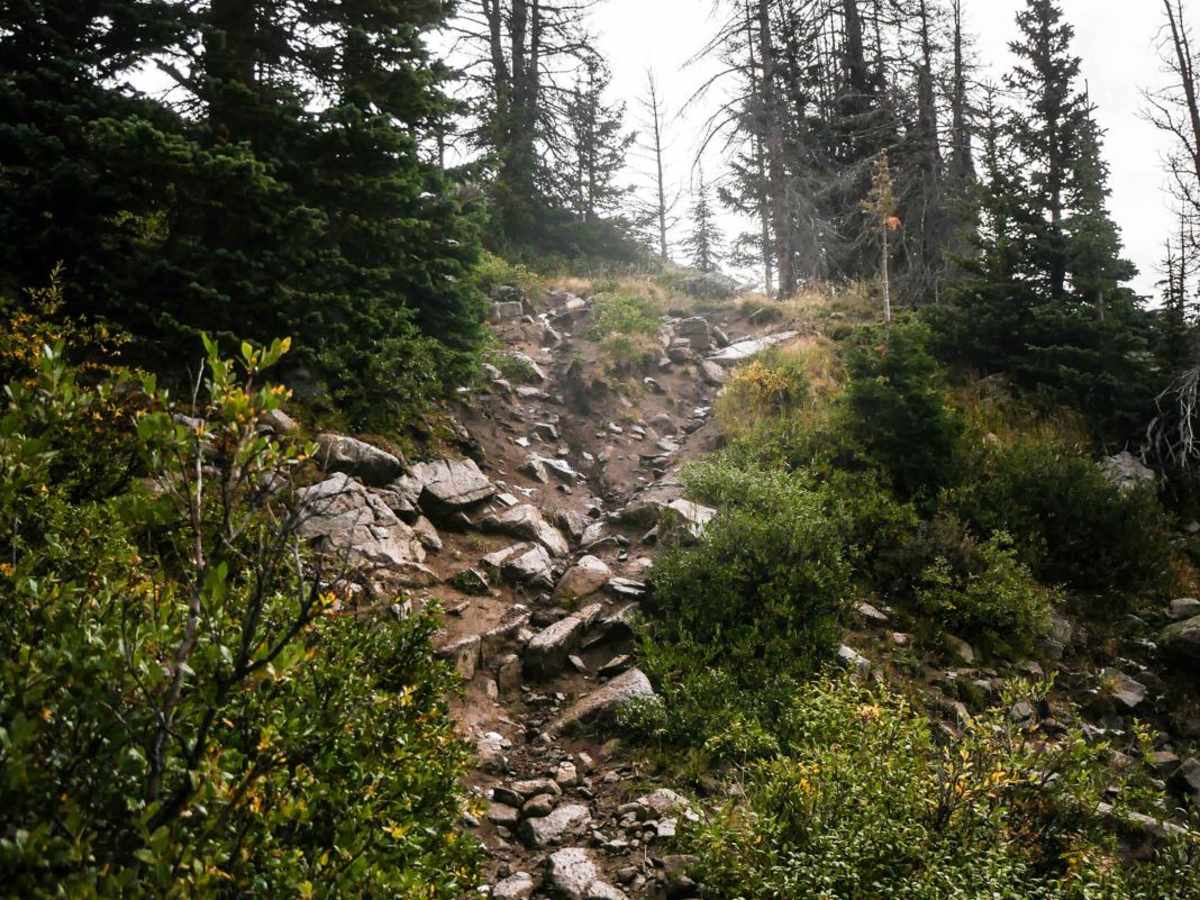 South Quartz photo 5