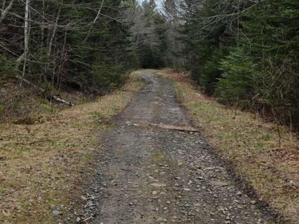 Scott Paper Conector trail photo