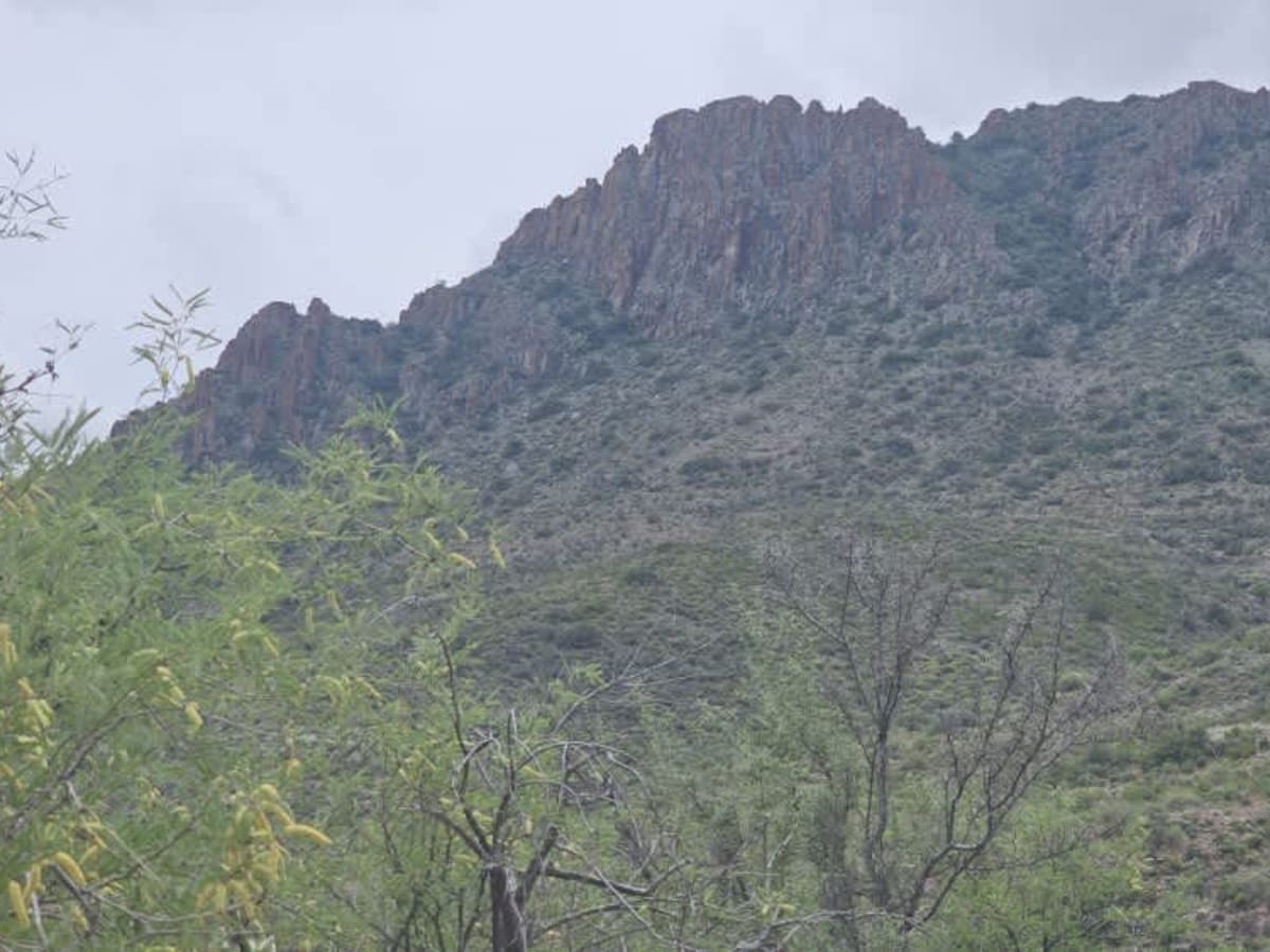 Walker Gulch to French Creek photo 2