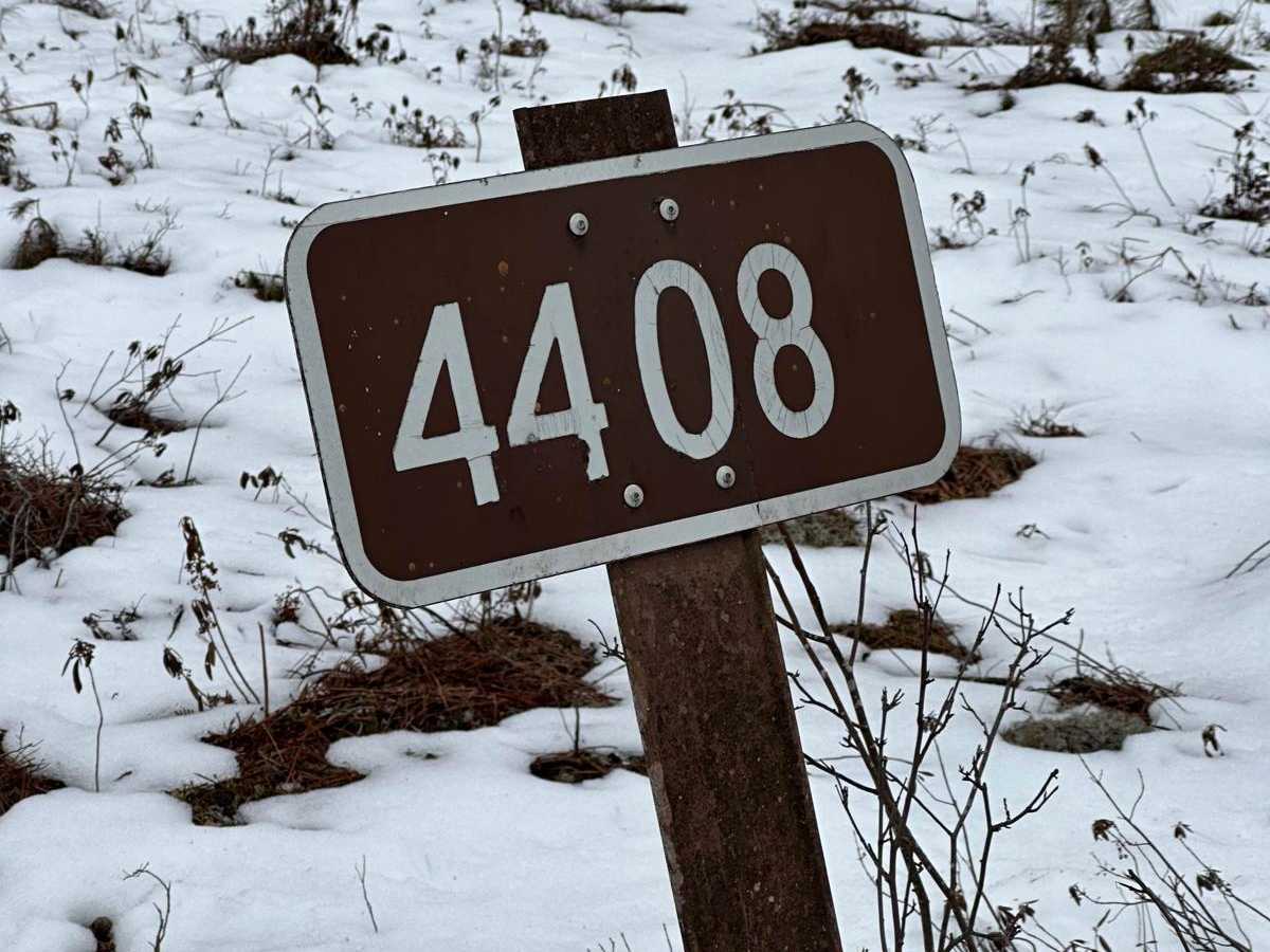 FS 4408 trail photo