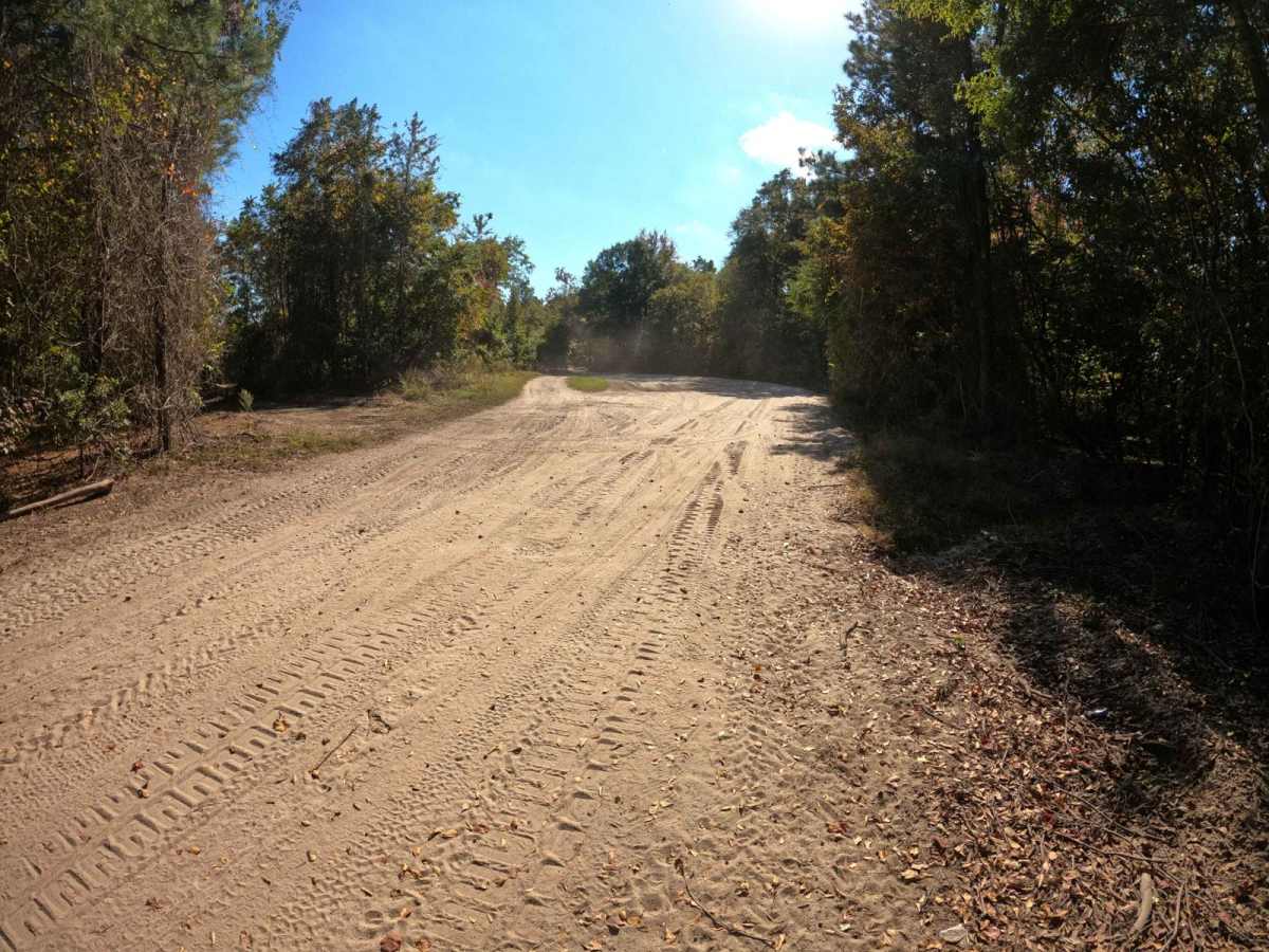 Skipper's Road photo 4