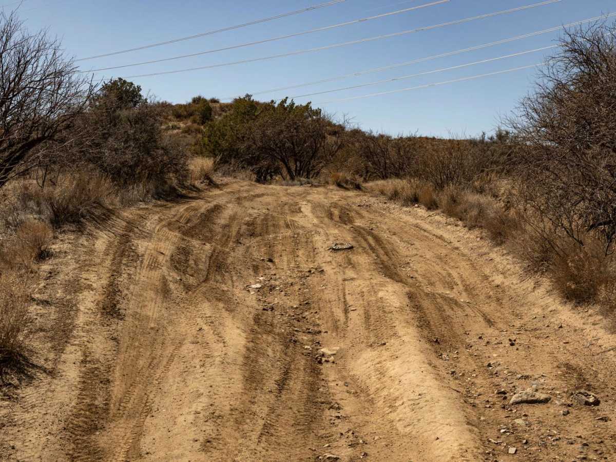 J-Train trail photo