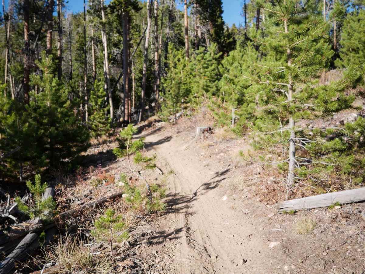 DeathHair trail photo