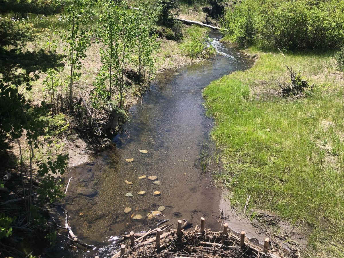 Salt Creek Road photo 5