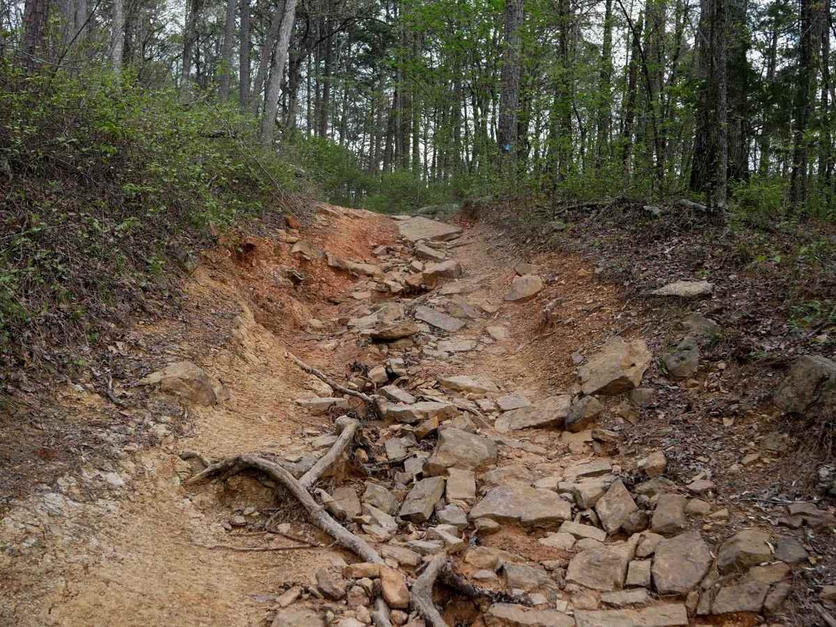 Gap Hollow Loop trail photo