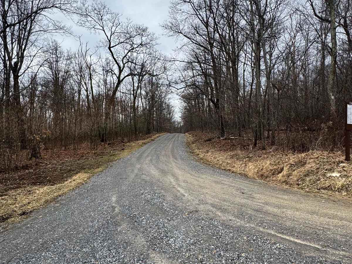 State Line Road trail photo