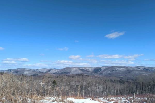 Schaeffer Road