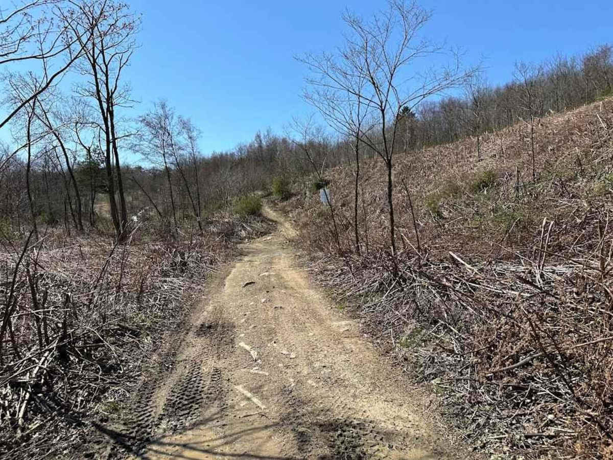 St. Keirns 70 trail photo