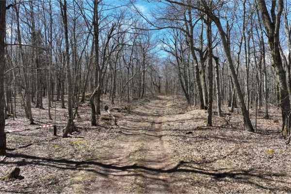 Bailey Gap to Butte Mountain