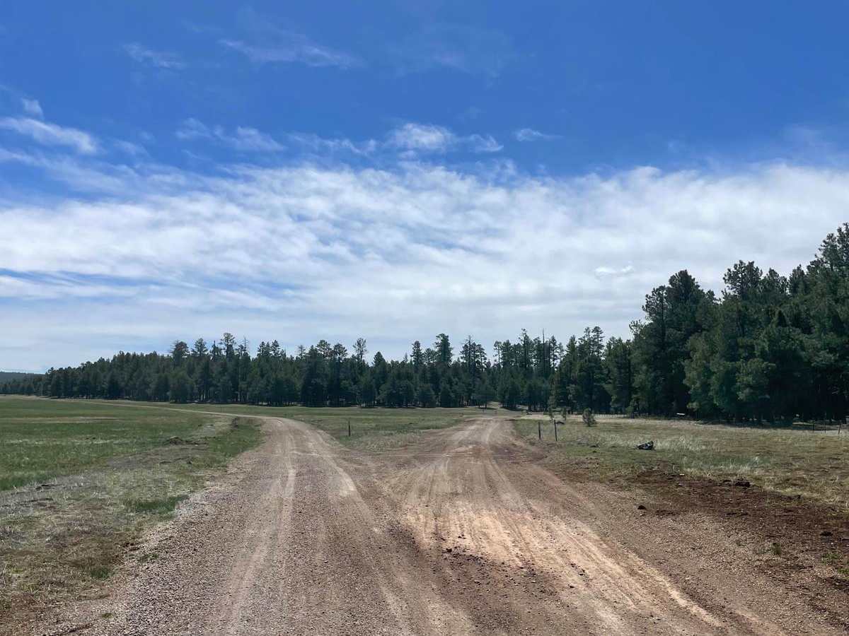 Lower Lake Mary Semi Loop photo 5