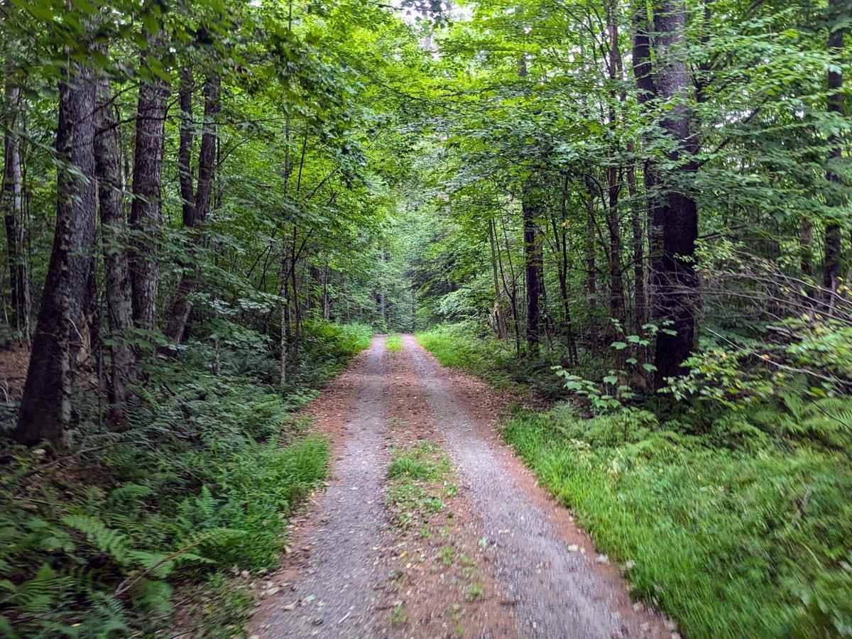 Middle Road photo 4