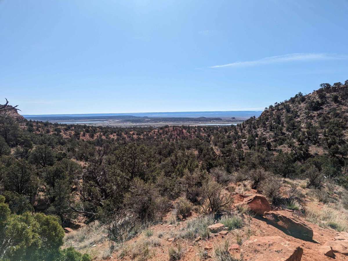 Nephi Pasture Road Offshoot trail photo