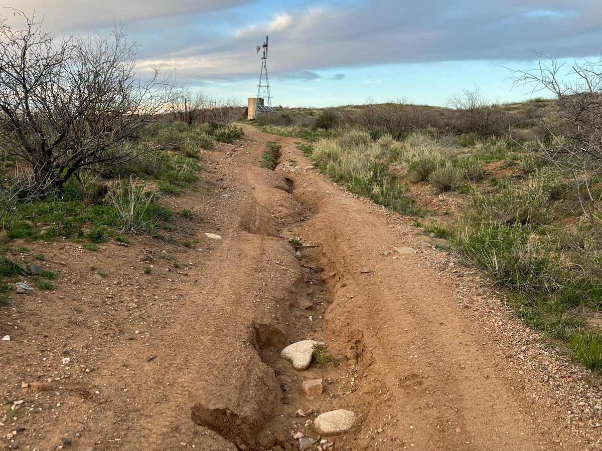 North Entrance to French Lily Mine trail photo