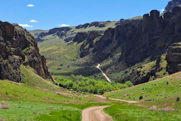 Graveyard - Succor Creek Road
