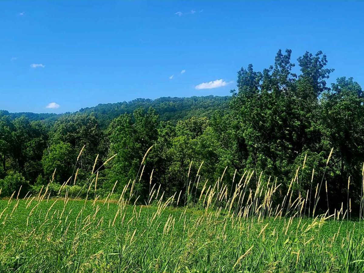 Sand Road Driftless Loop photo 4
