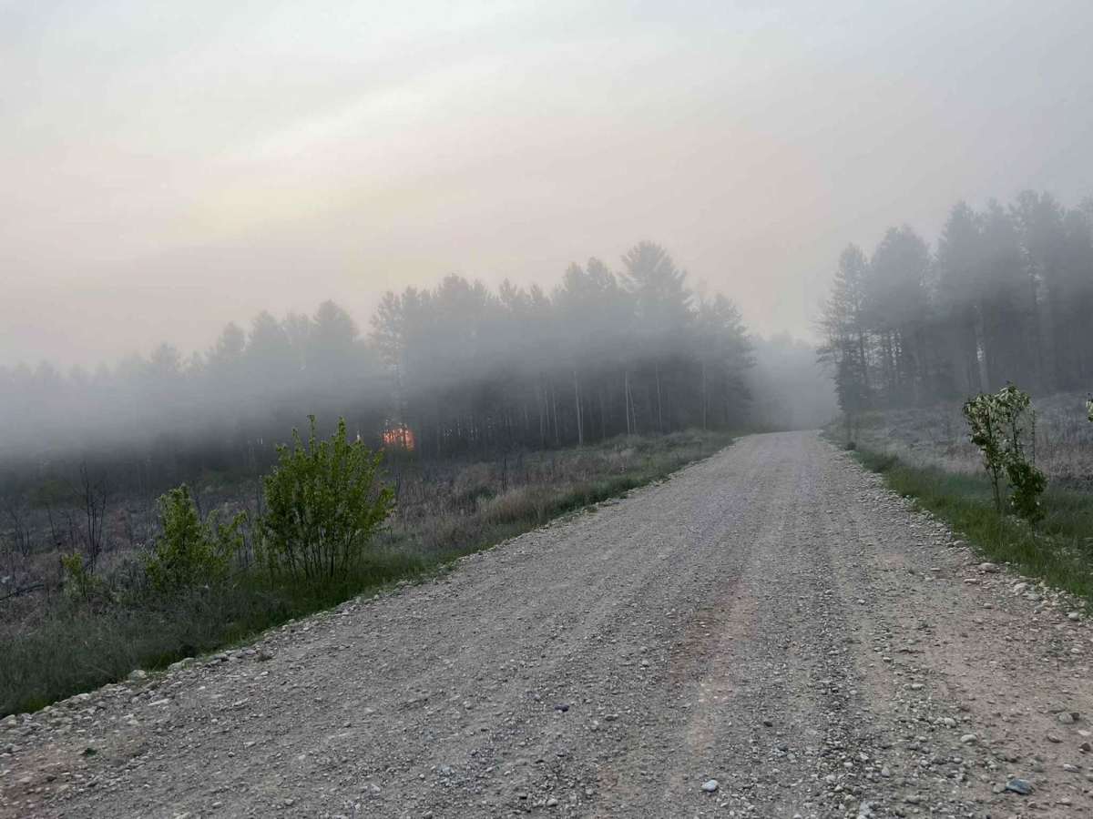 Lyons Lake Road photo 3
