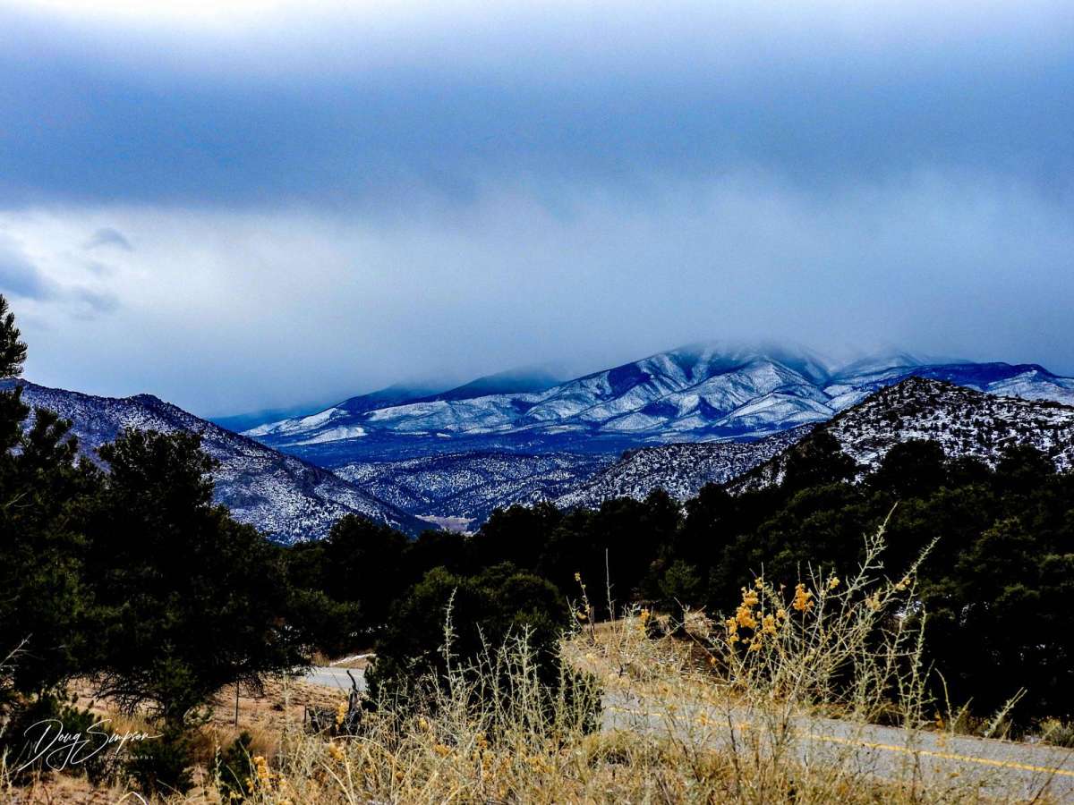 BLM 6051 photo 2