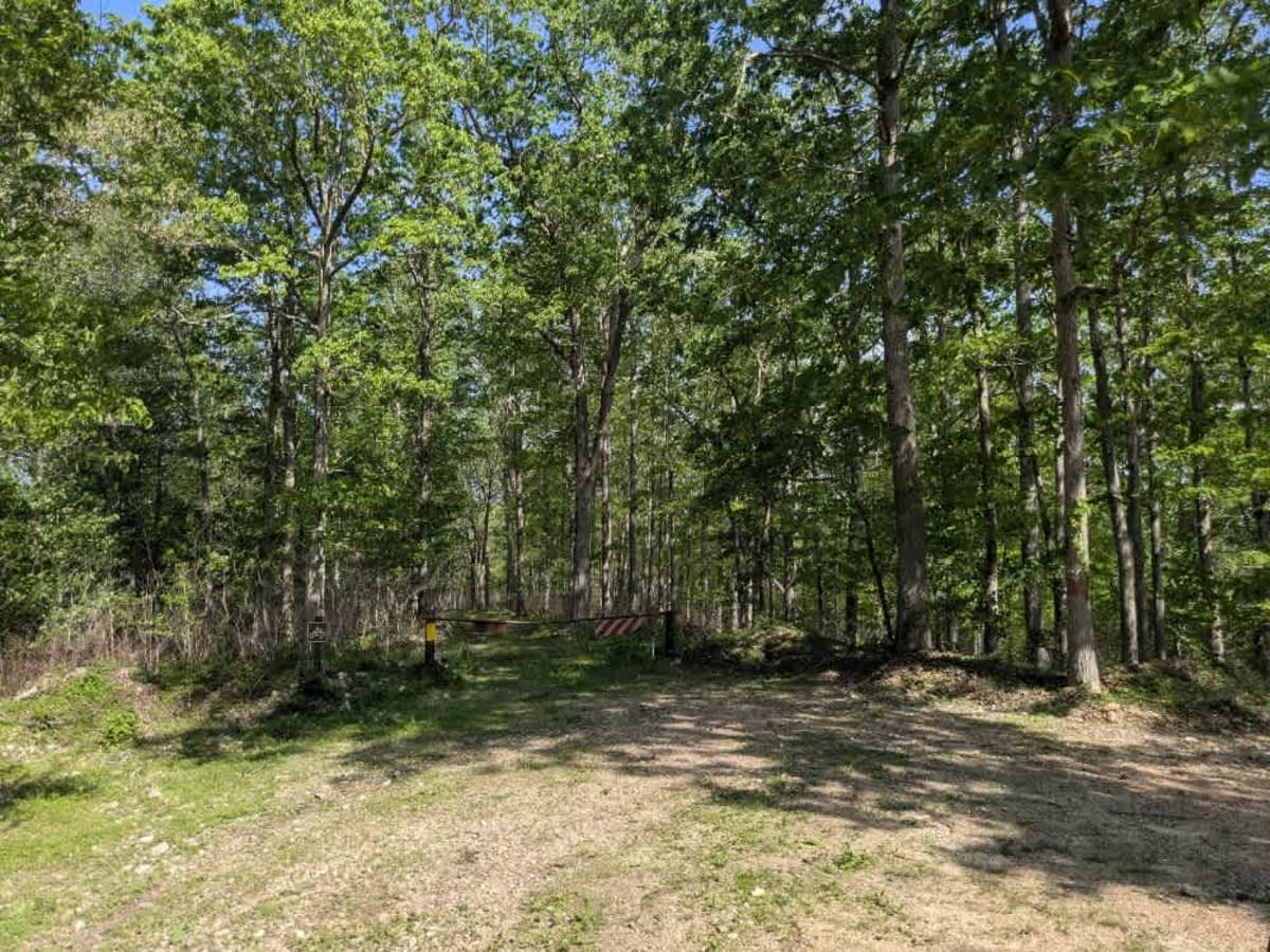 Barkshed Road photo 3