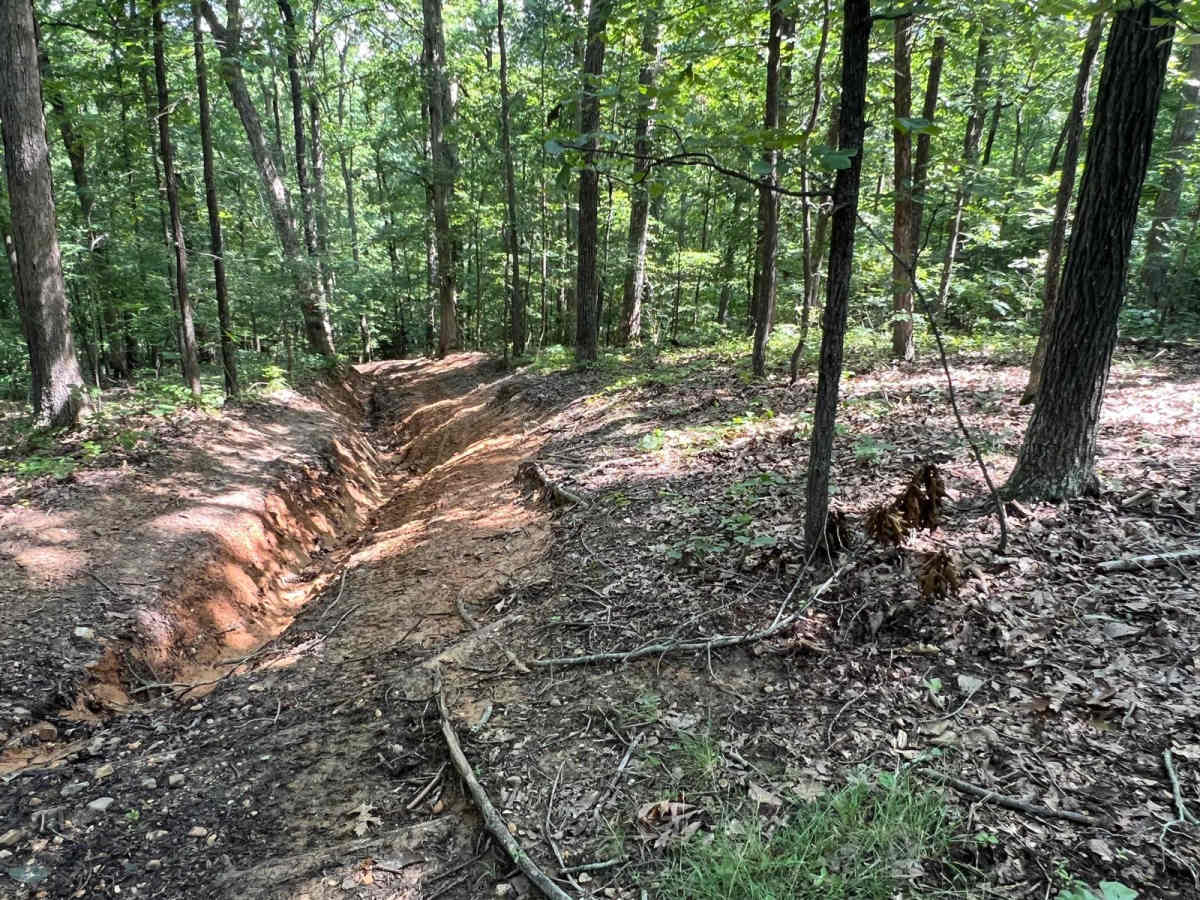Turkey Bay OHV 7209 photo 5