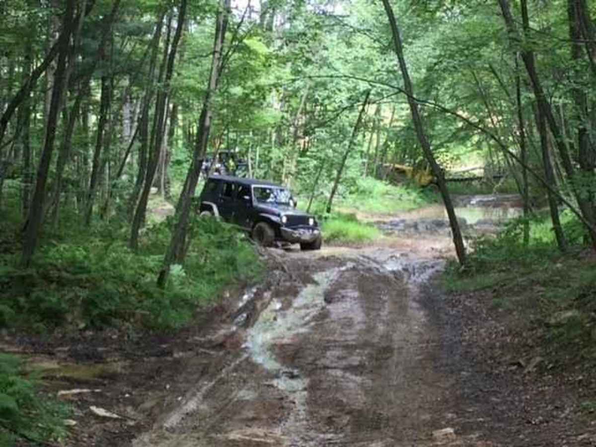 134A Green trail photo